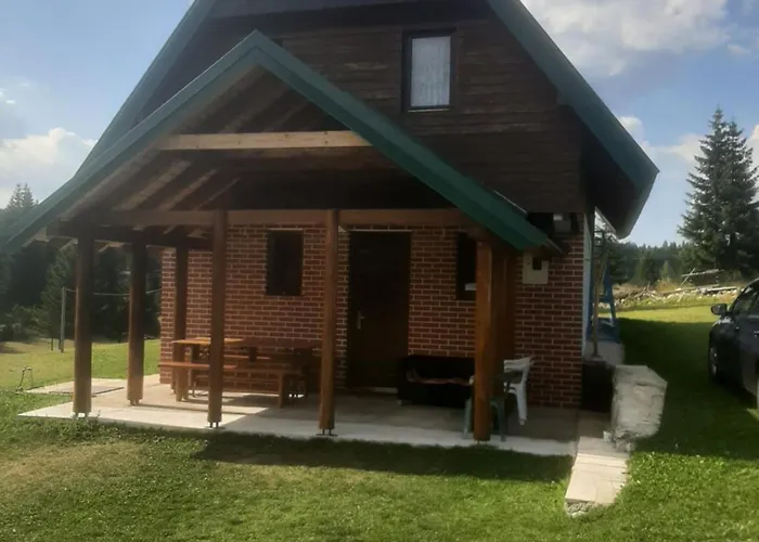 House In Forest