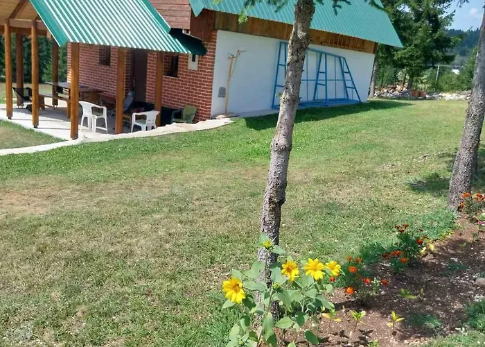 House In Forest