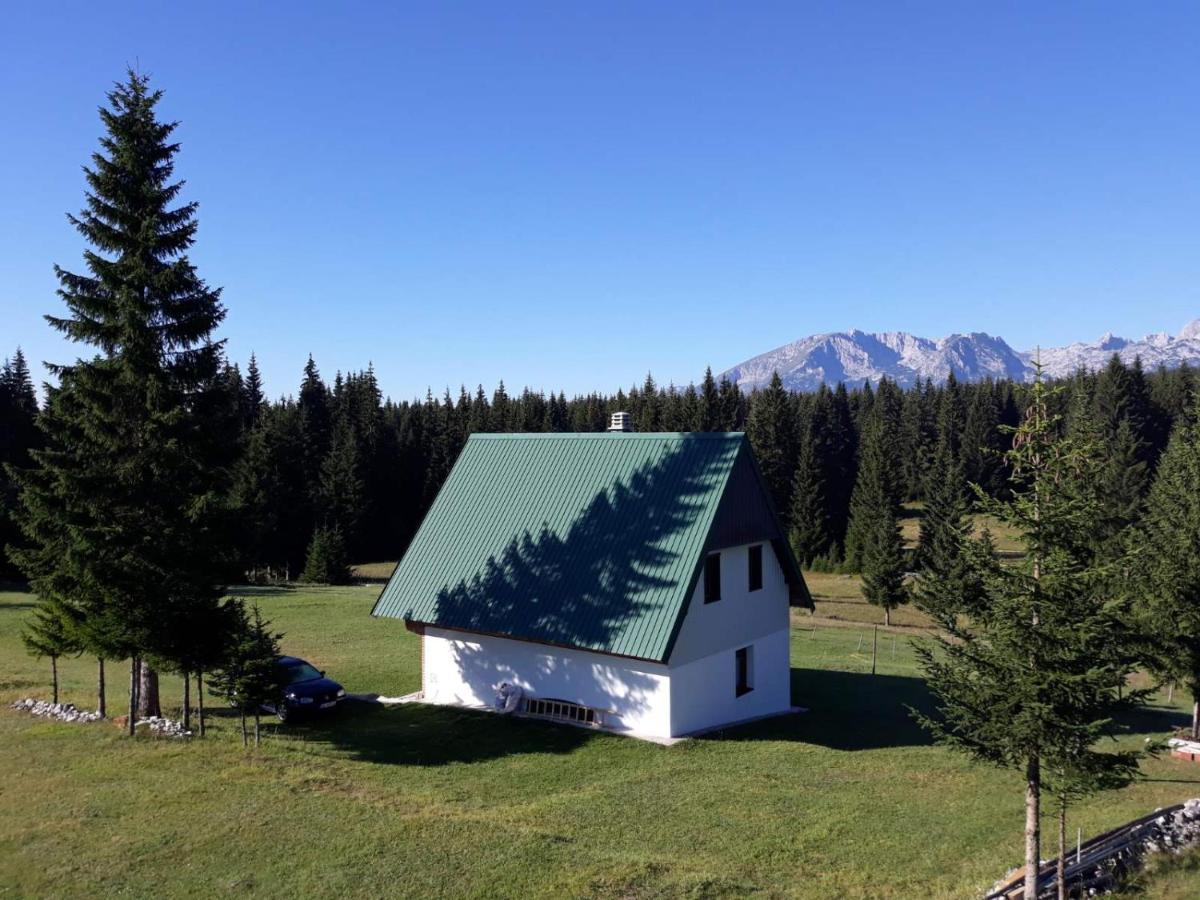 Villa House In Forest Zabljak (Zabljak)