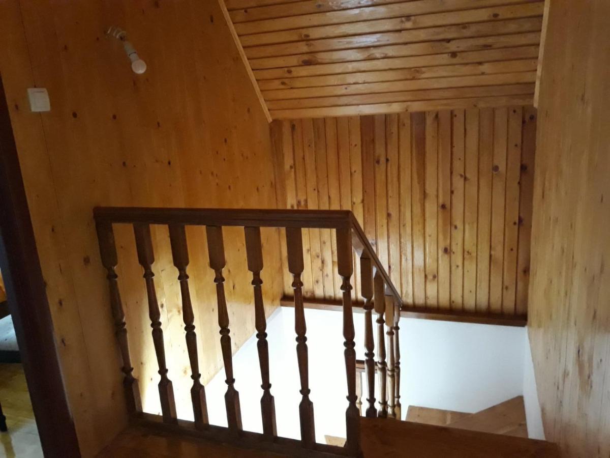 Villa House In Forest