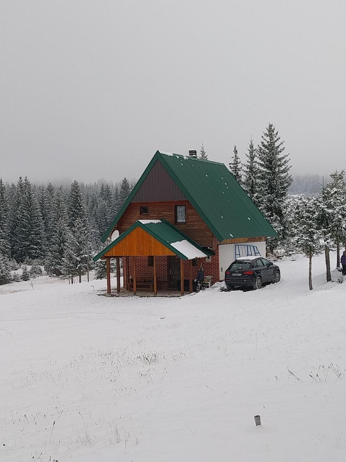 House In Forest