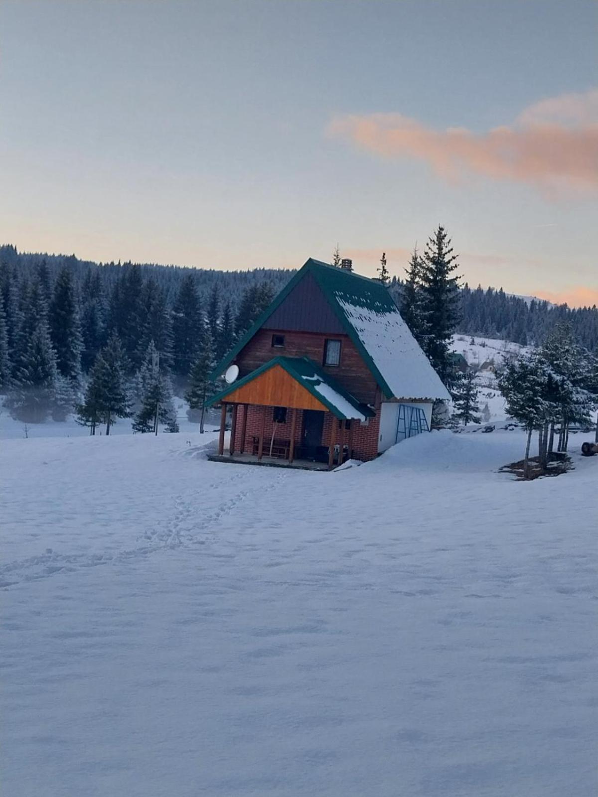 House In Forest Villa Zabljak (Zabljak)