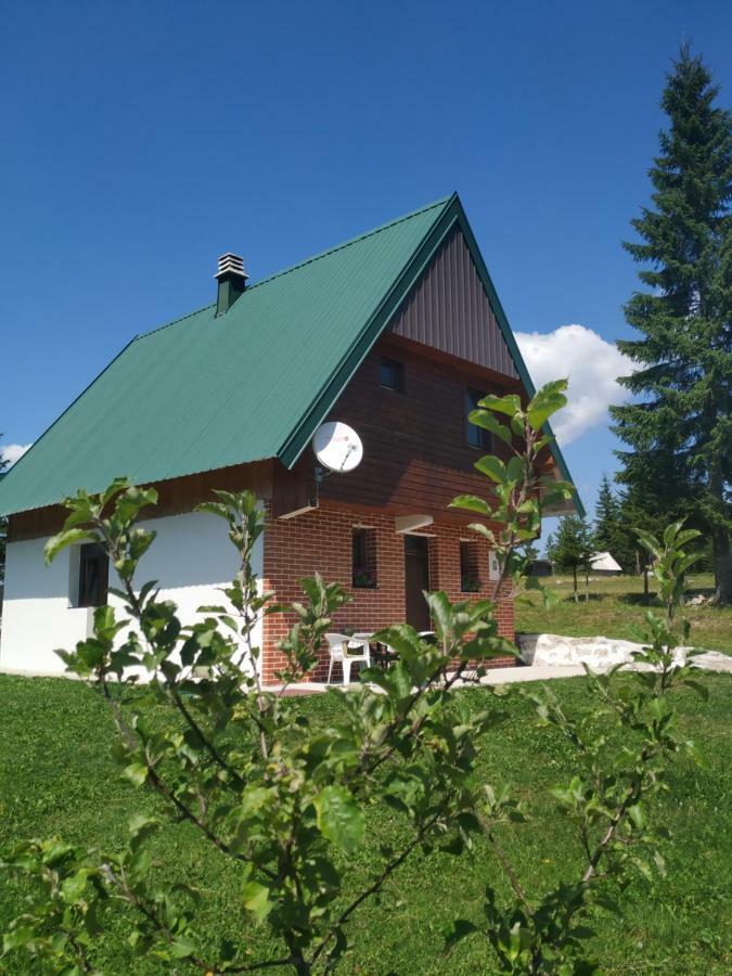 Villa House In Forest Zabljak (Zabljak)