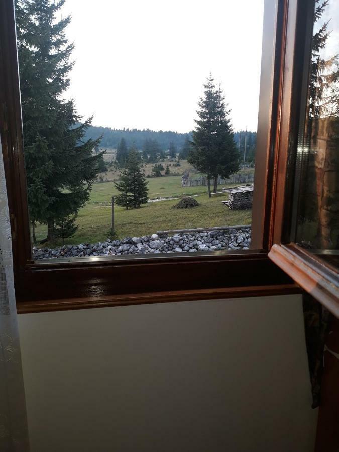 Villa House In Forest Zabljak (Zabljak)